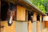 free Avonwick stable construction quotes